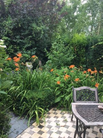 Cnocoon Bed and Breakfast Knokke-Heist Buitenkant foto